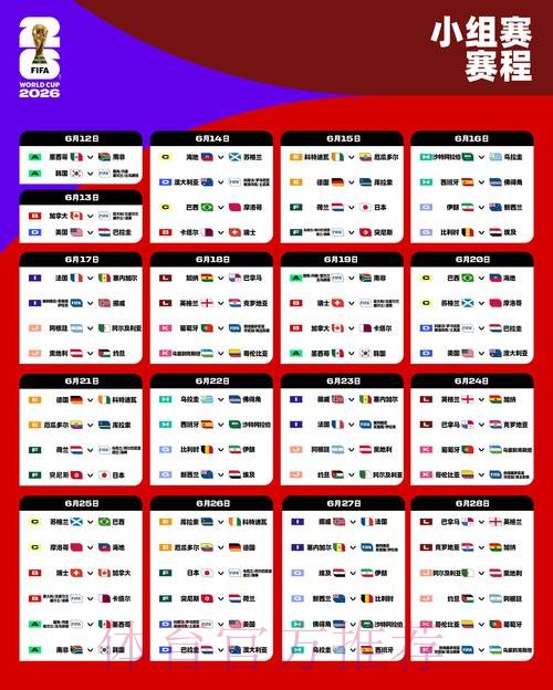 2026年世界杯比赛结果深度分析