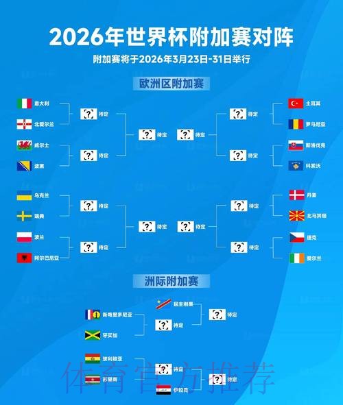 2026年世界杯比赛结果深度分析